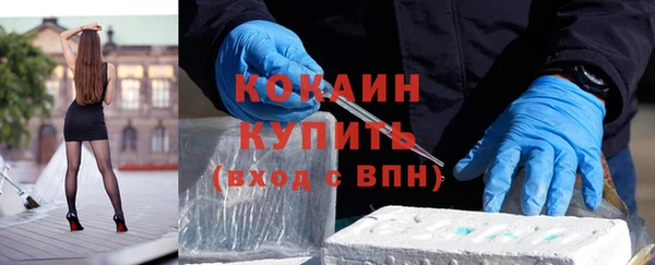 шишки Михайловка