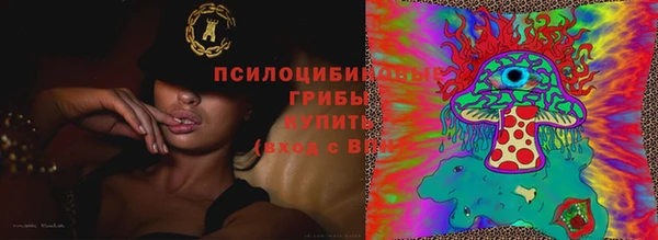 2c-b Михайлов