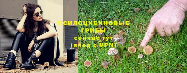 2c-b Михайлов