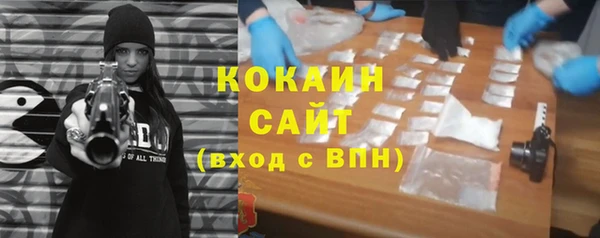 шишки Михайловка
