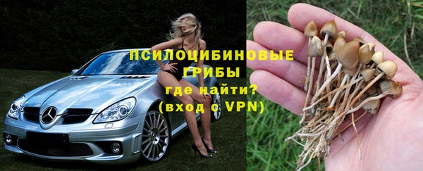 шишки Михайловка