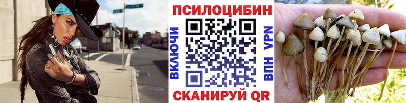 Галлюциногенные грибы мицелий Горячеводский